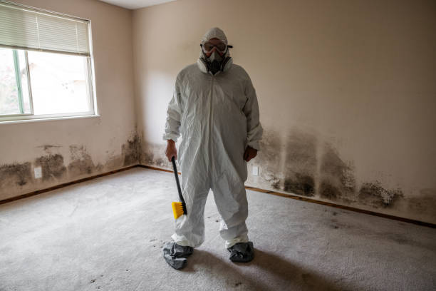 Best Mold Removal Process  in Woodville, FL